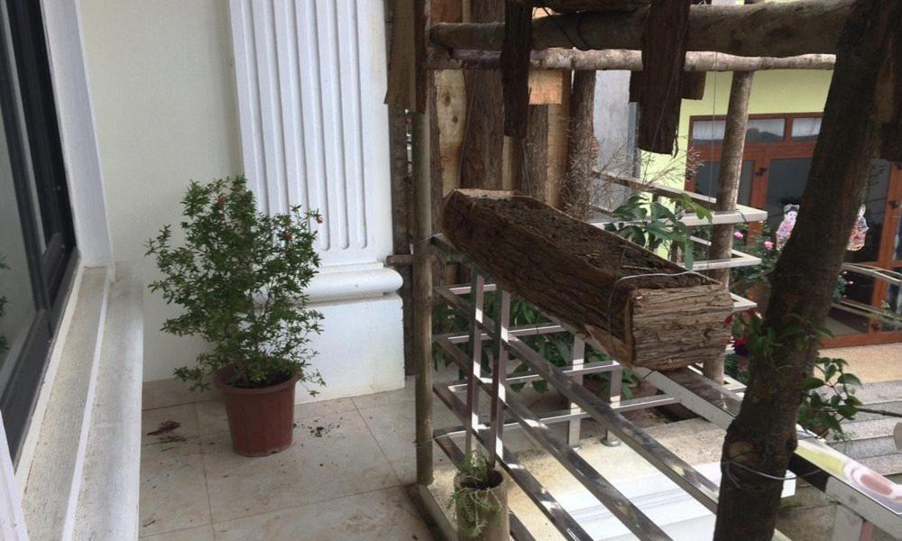 Sapa Peace Valley Hotel Εξωτερικό φωτογραφία